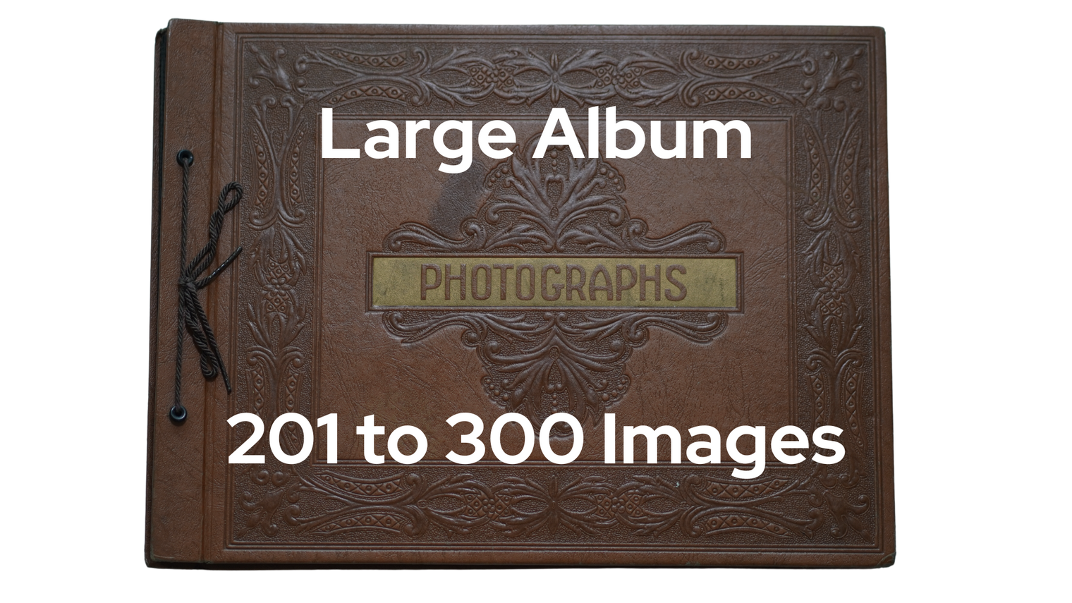 Scanning a Large Photo Album