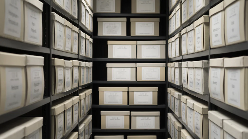 Shelves of Physical Records