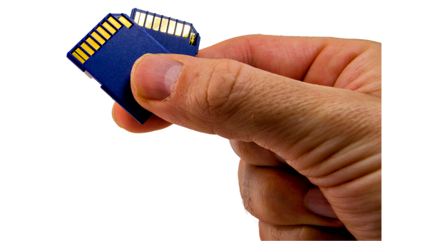 Hand Holding Two SD Memory Cards