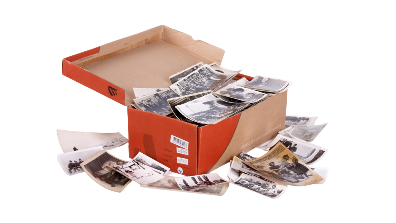 Organization