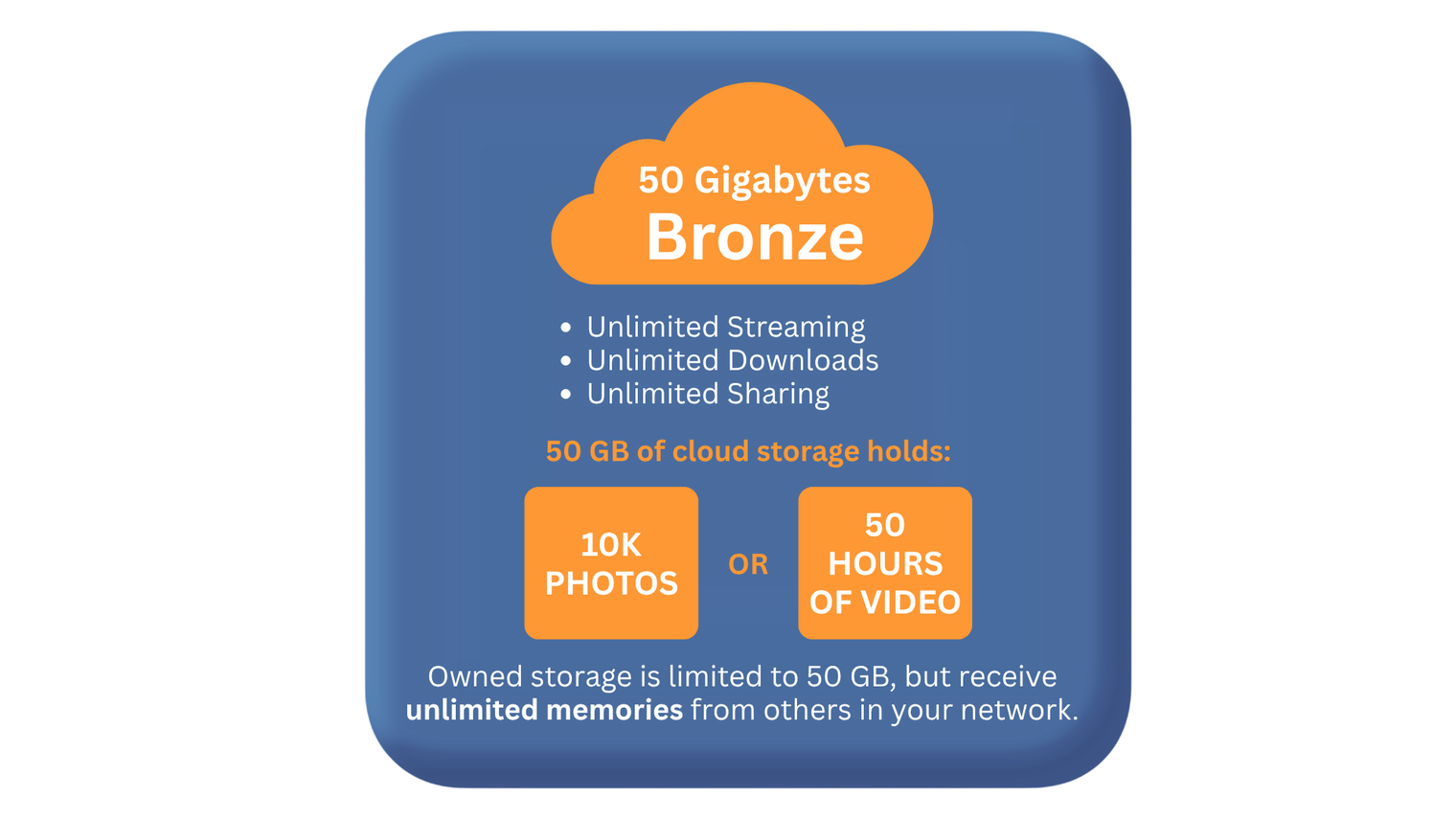 Bronze Cloud Storage by Heirloom