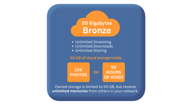 Bronze Cloud Storage by Heirloom
