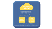 Gold Cloud Storage by Heirloom