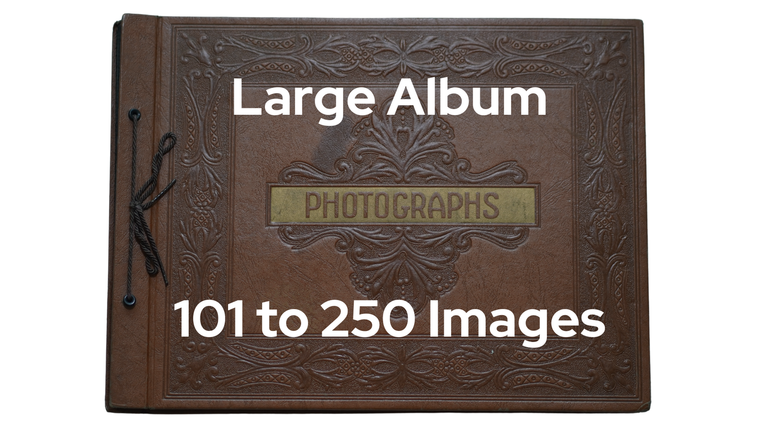 Photo Albums to Digital Service
