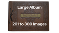 Scanning a Large Photo Album