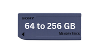 Memory Card 64 to 256 GB