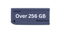 Memory Card Over 256 GB