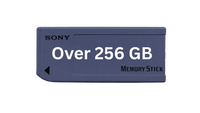 Memory Card Over 256 GB
