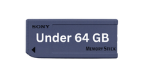 Memory Card Under 64 GB